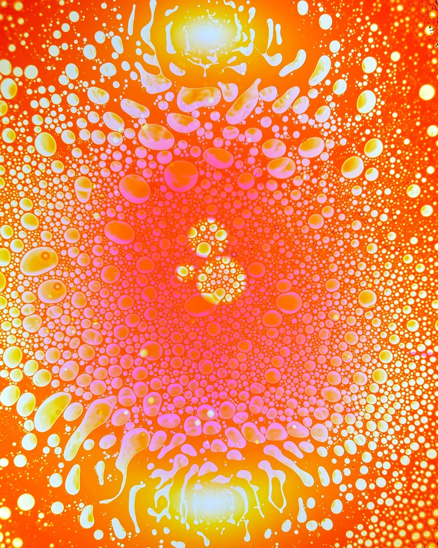 SQUISHPLATE ORANGE PINK YELLOW