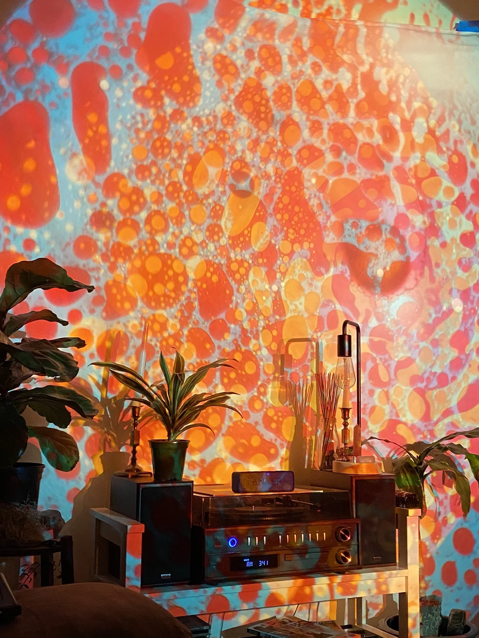 SQUISHPLATE BLUE RED