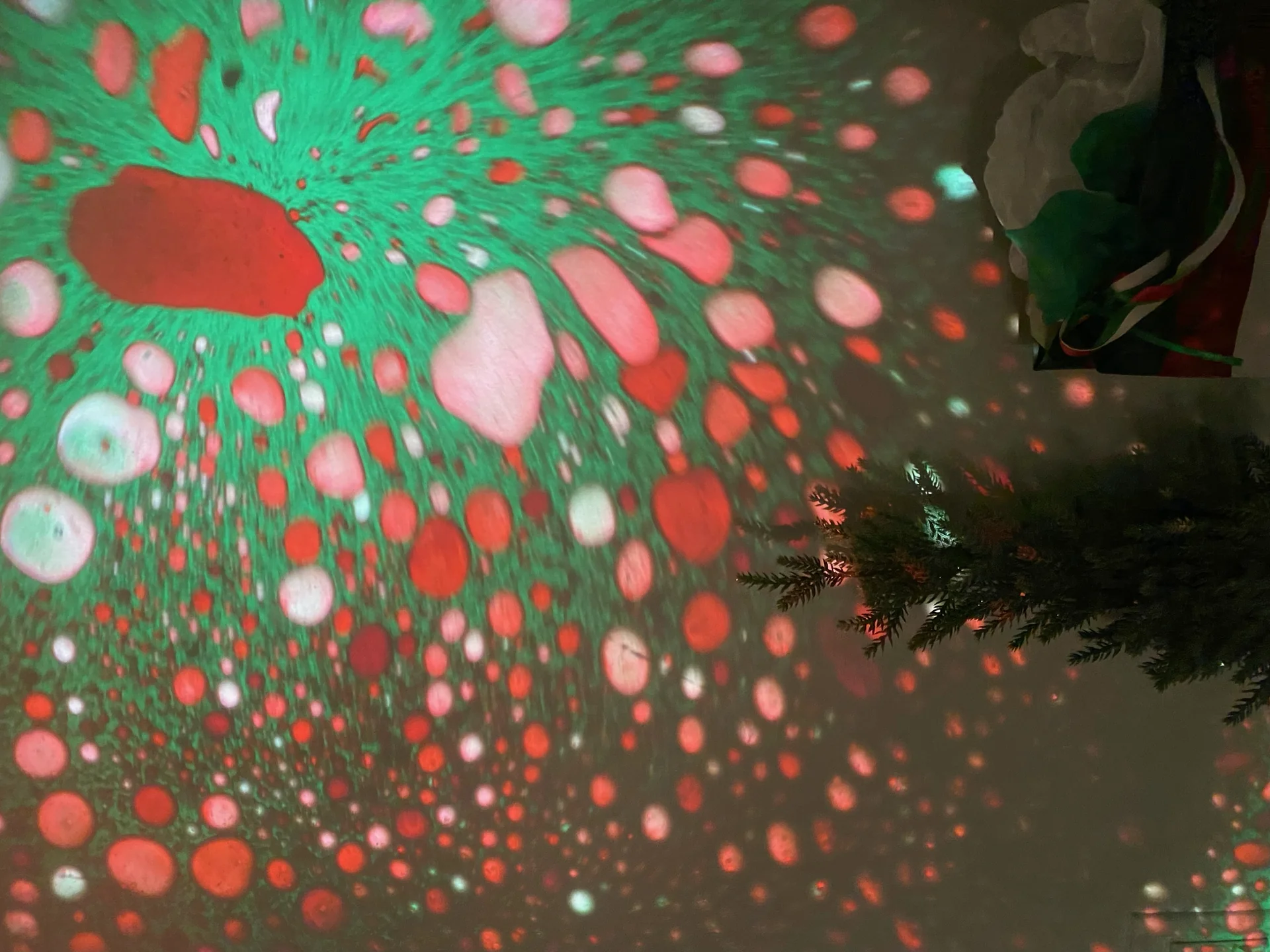 SQUISHPLATE RED GREEN CHRISTMAS