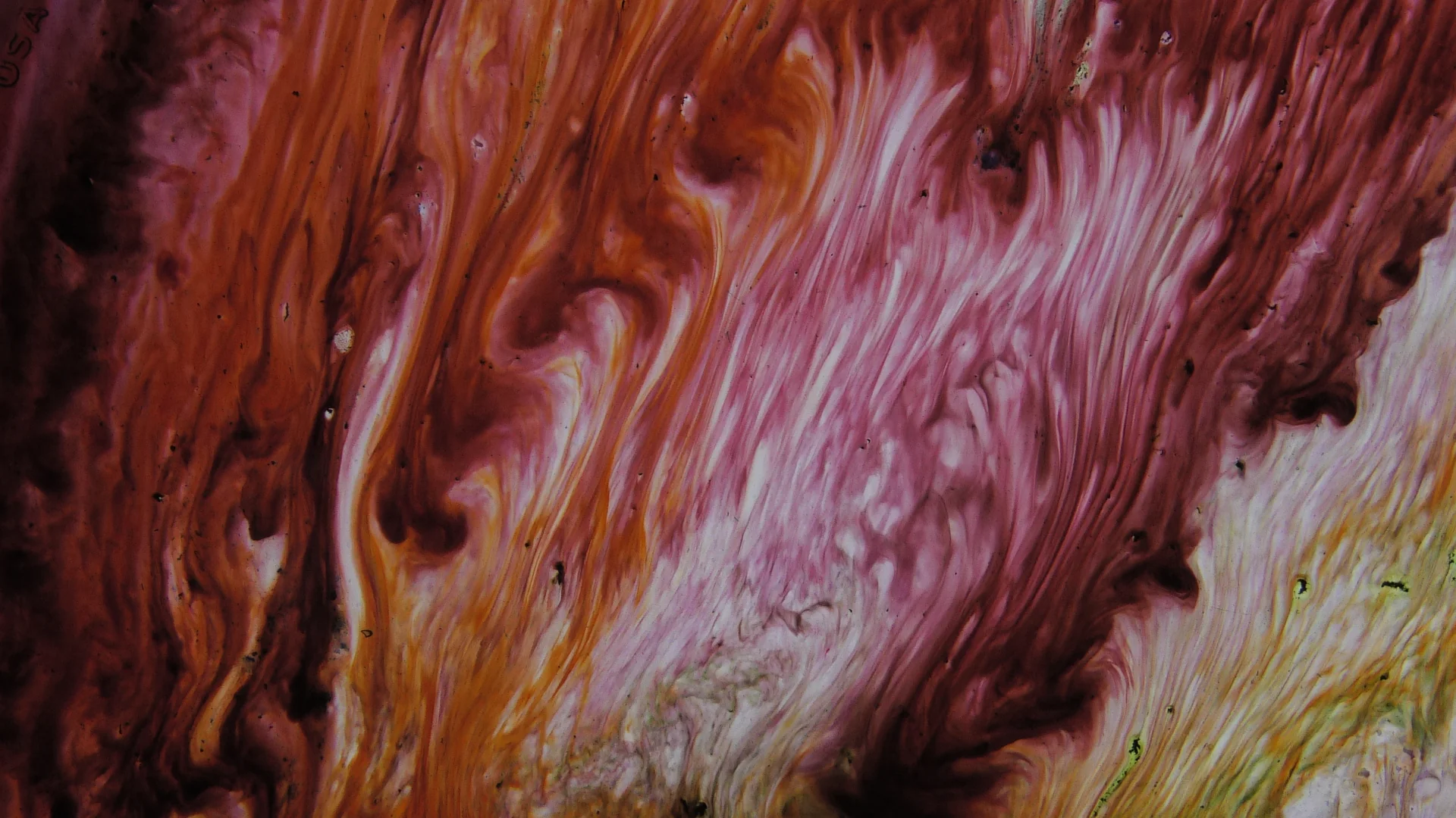 BLOWPLATE PSYCHEDELIC