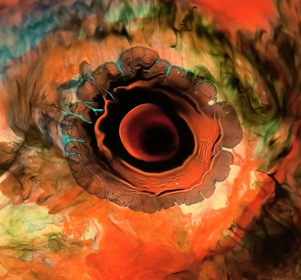 EXPLOSIONPLATE LIQUIDLIQUIDSHOW PETRIDISH