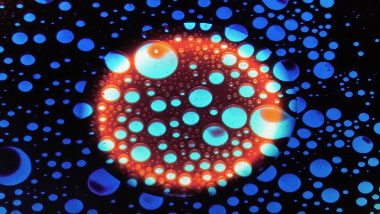 SQUISHPLATE OIL ORANGE BLUE