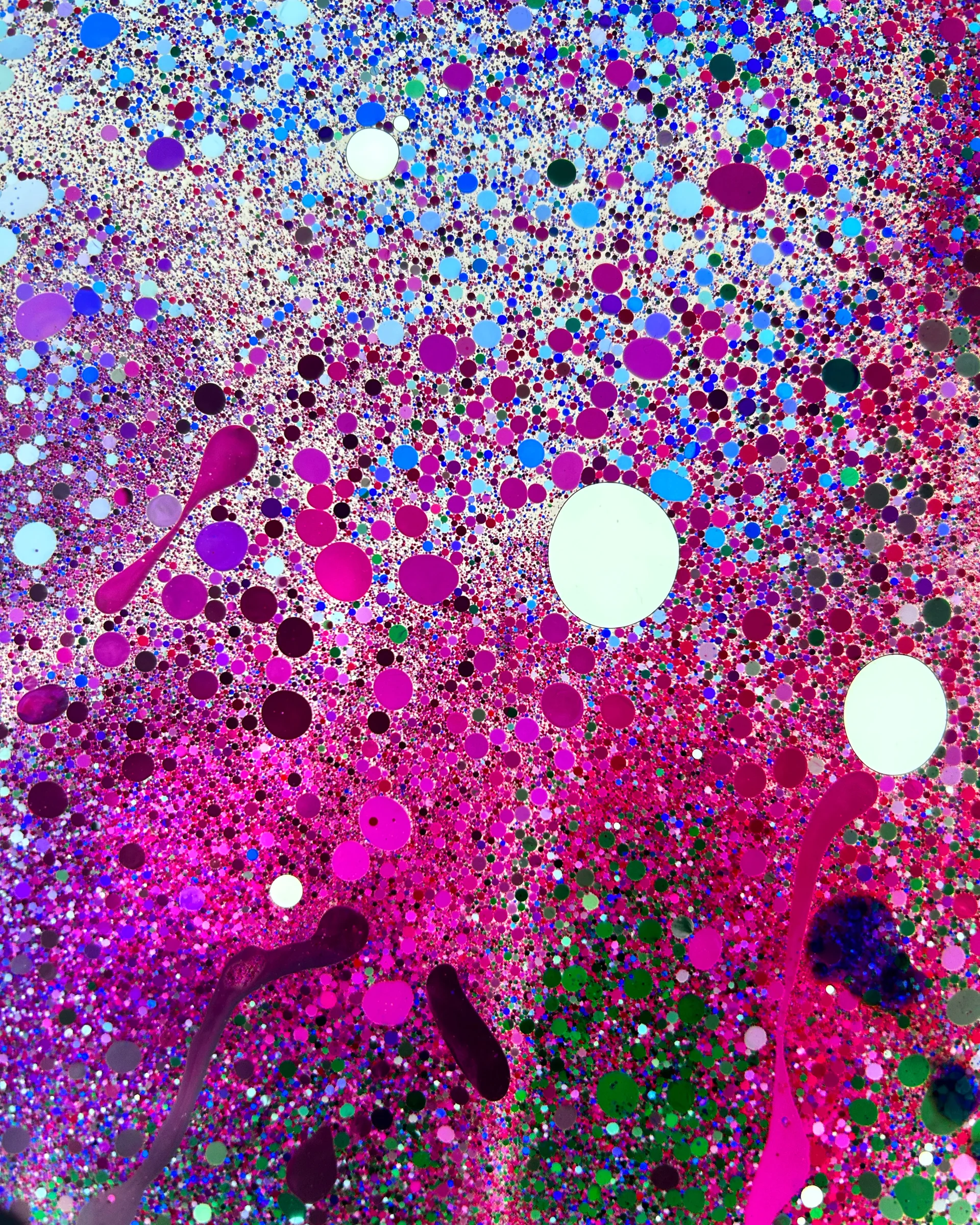 FLATPLATE PETRIDISH PINK BLUE