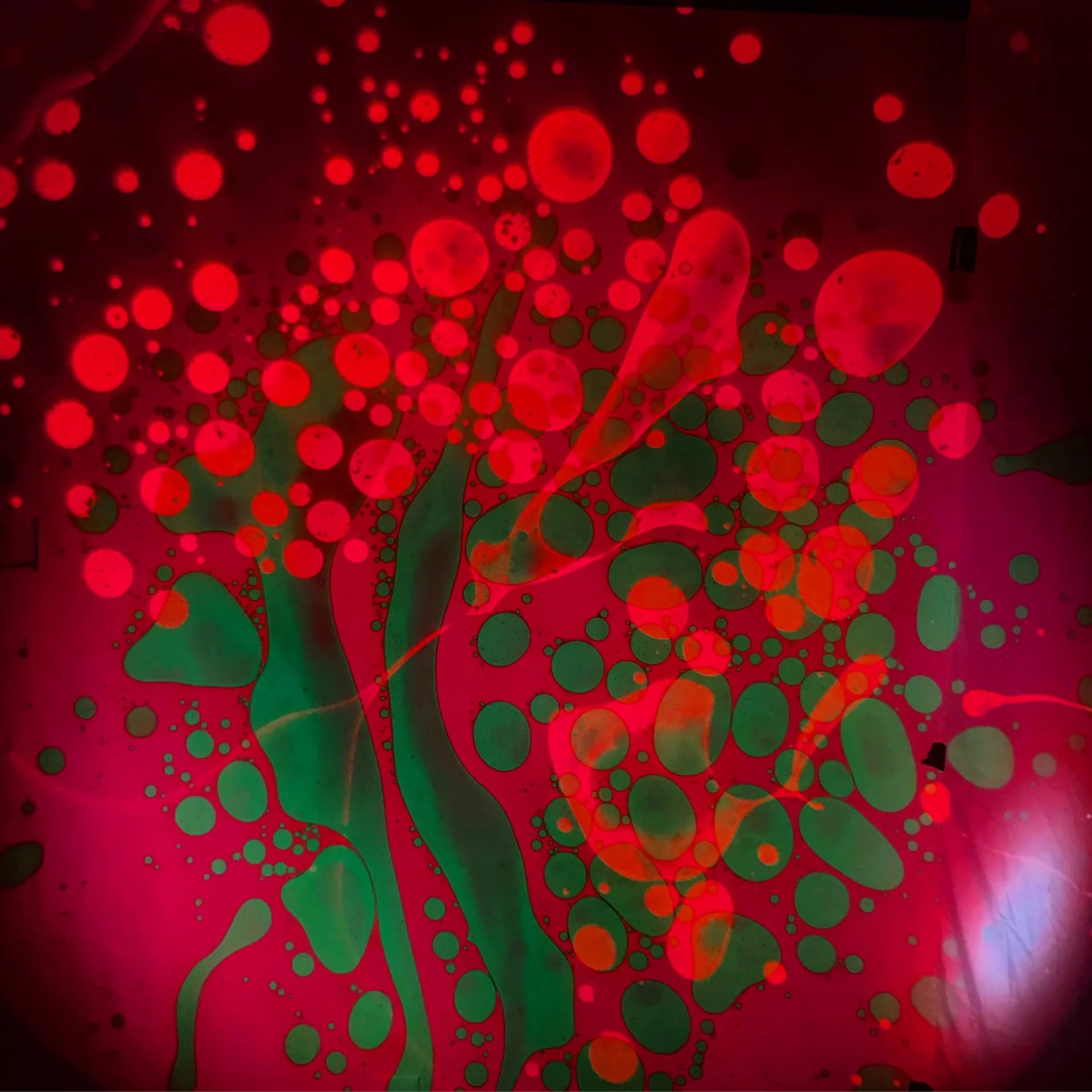 RED GREEN MAGENTA SQUISHPLATE