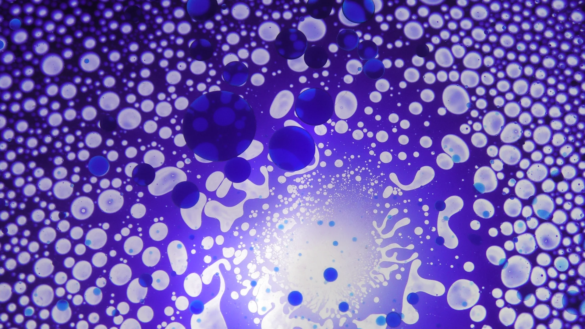 SQUISHPLATE BLUE PURPLE WHITE