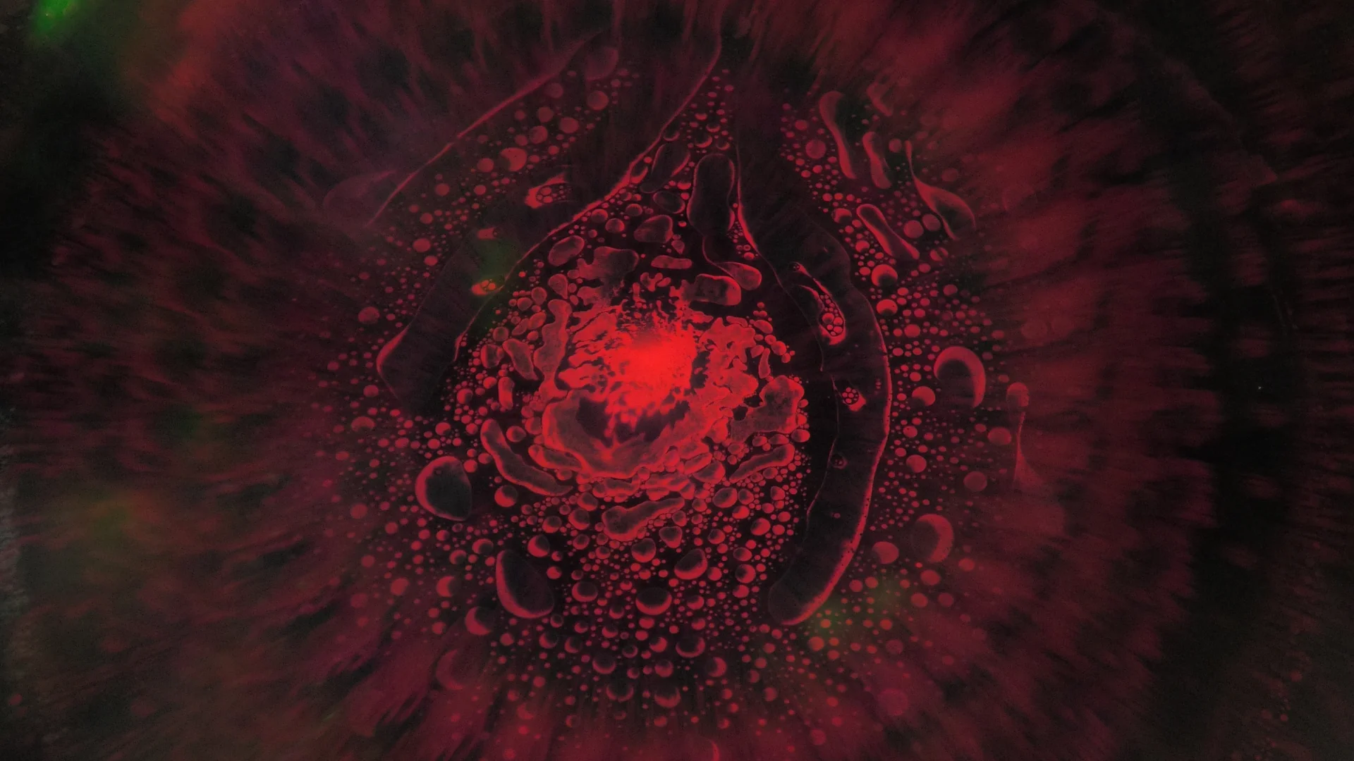 SQUISHPLATE DIFFRACTIONGRATING PSYCHEDELIC RED