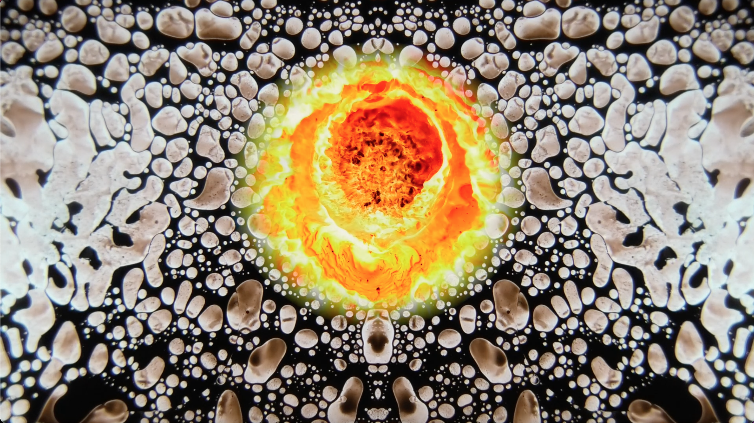 SQUISHPLATE EXPLOSIONPLATE NEGATIVE