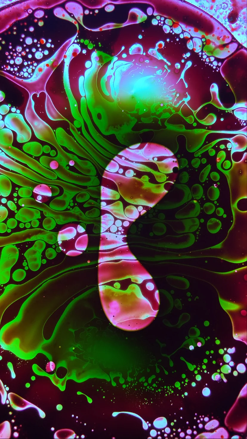 SQUISHPLATE GREEN MAGENTA