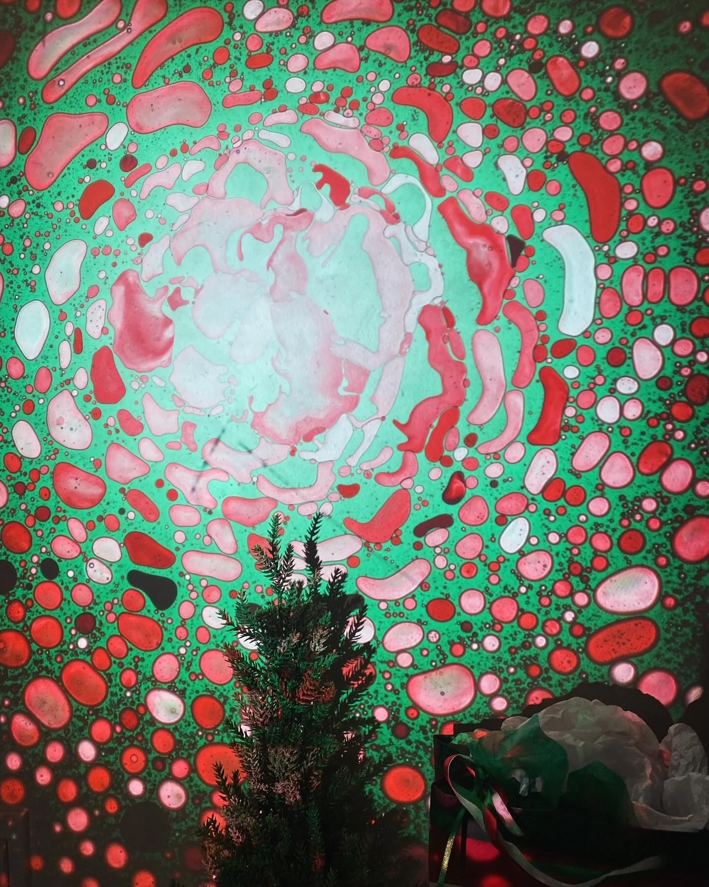 SQUISHPLATE CHRISTMAS RED GREEN