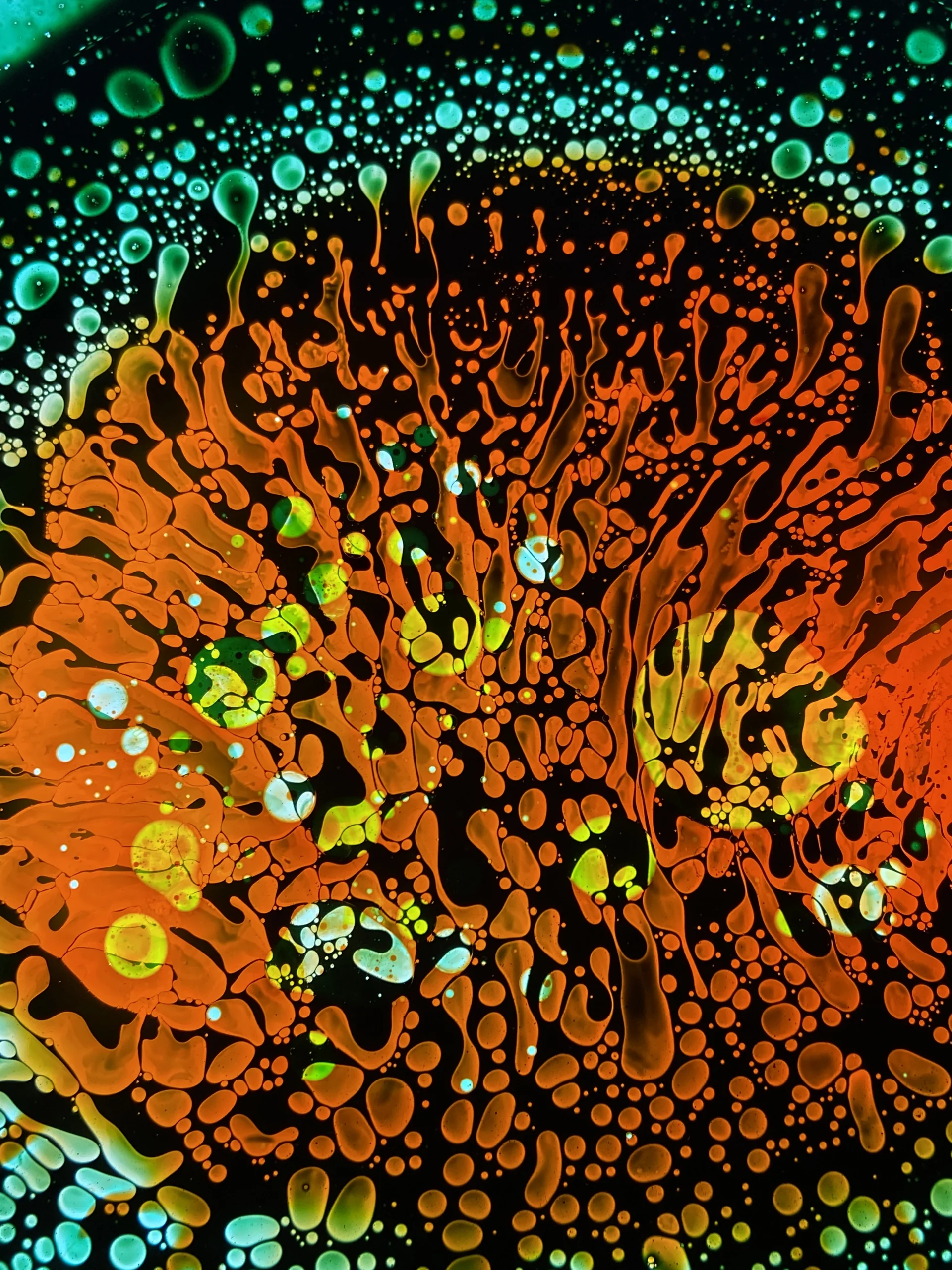 SQUISHPLATE PSYCHEDELIC ORANGE YELLOW