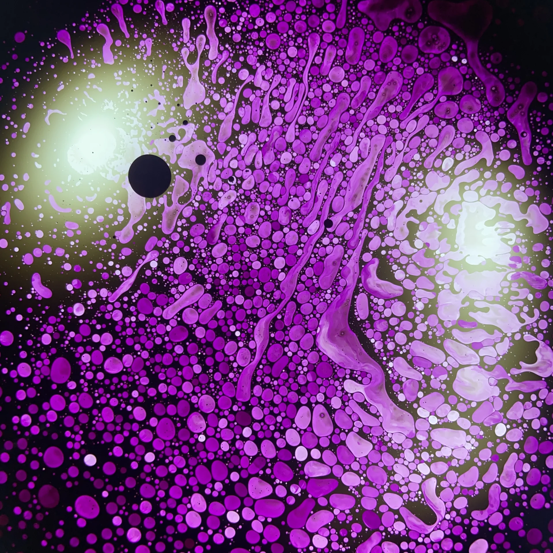 SQUISHPLATE PURPLE BLACK PSYCHEDELIC