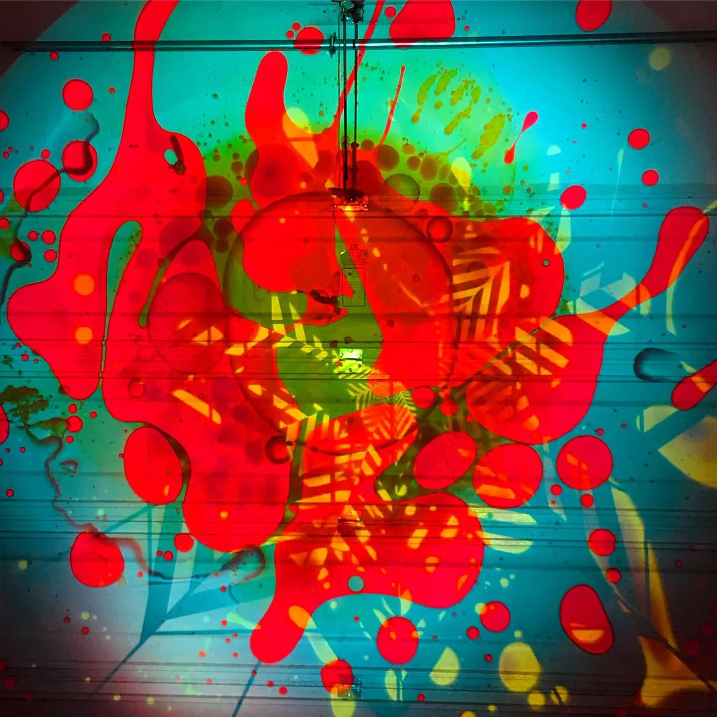 SQUISHPLATE RED BLUE GREEN