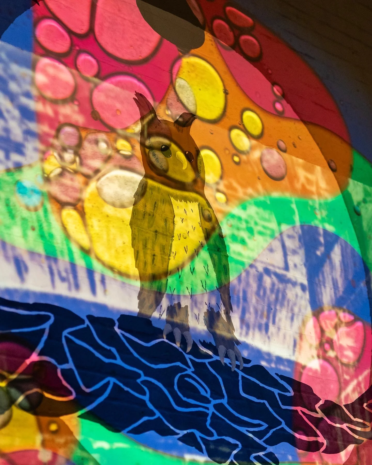 THENIGHTOWL OILWHEEL 35MMFILMSLIDES SLIDEPROJECTION