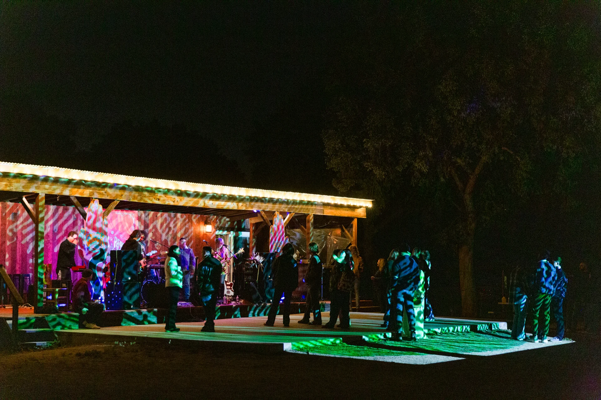 CREEKPSYCHFEST DREAMPHASES ANALOG VIDEOFEEDBACK