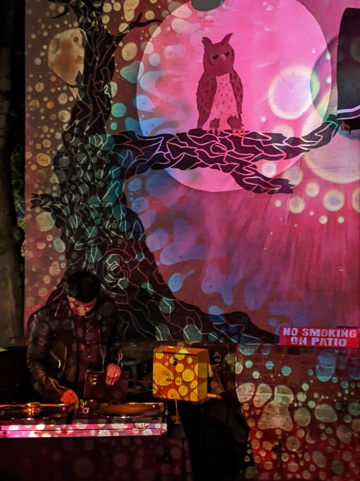 SQUISHPLATE PINK BLUE THENIGHTOWL