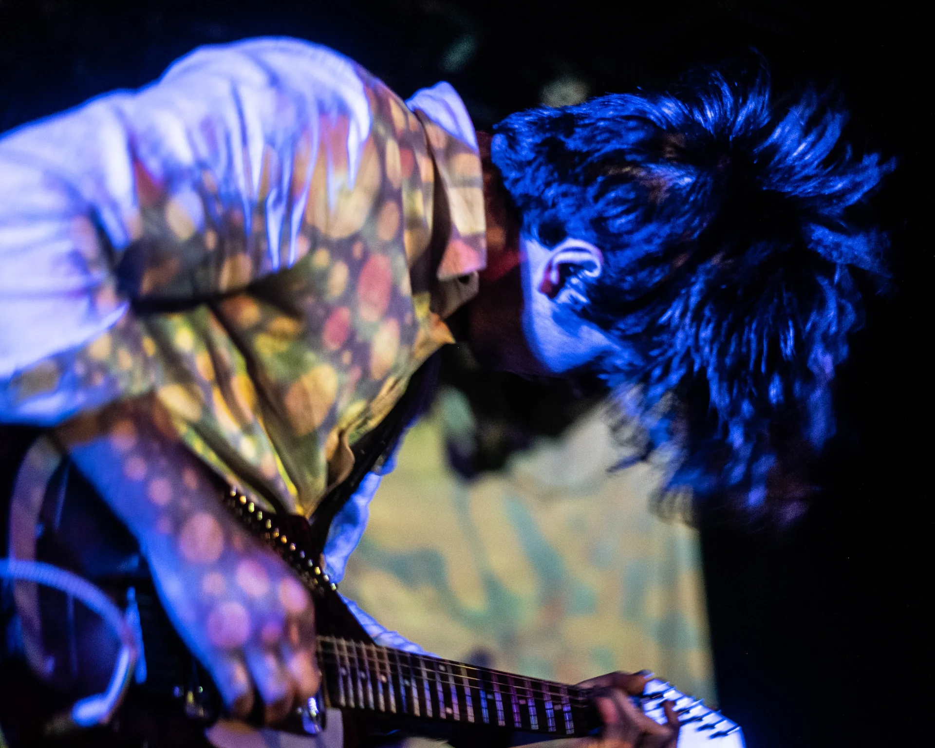 DANTES PDX LUCIDLYNX