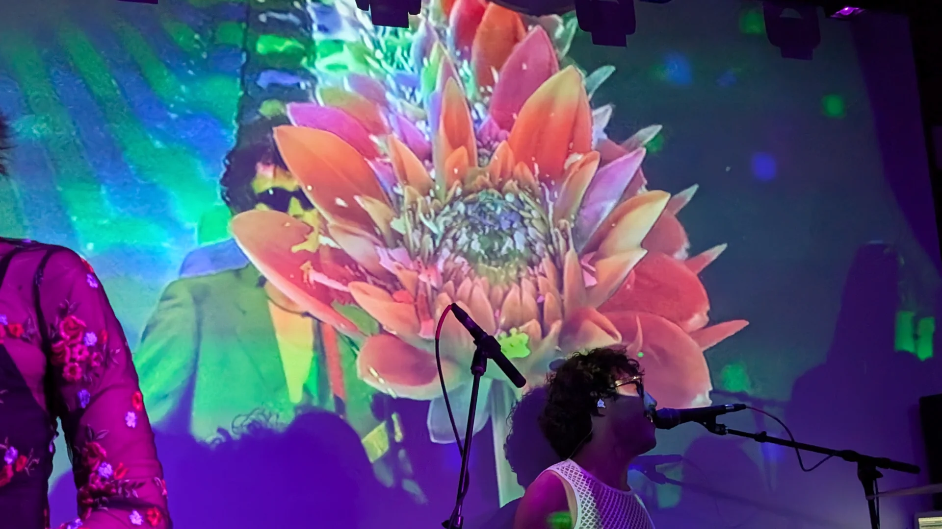 SODABAR DUMBOGETSMAD VIDEOFEEDBACK STAGEFEEDBACK