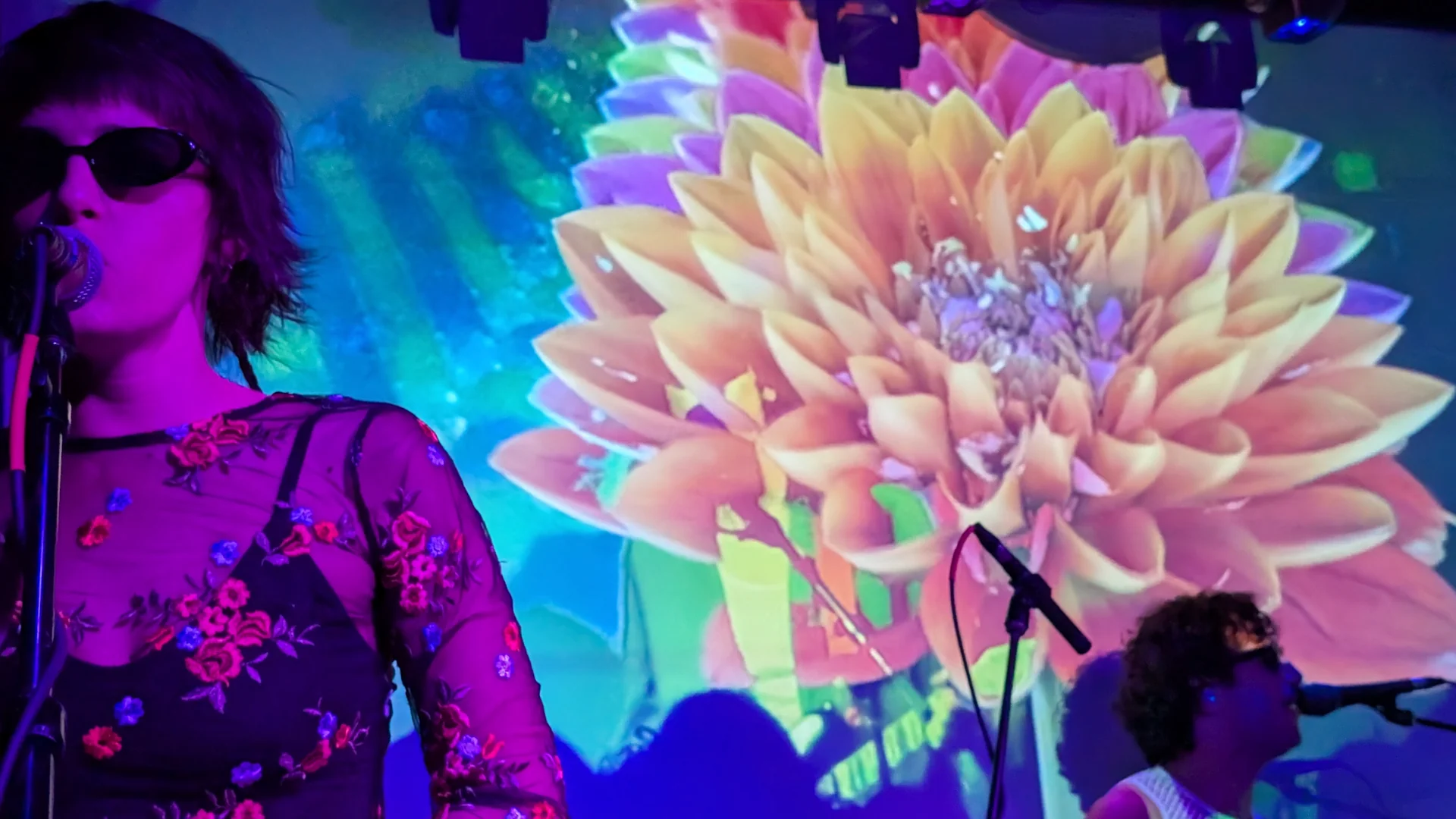 SODABAR DUMBOGETSMAD VIDEOFEEDBACK STAGEFEEDBACK