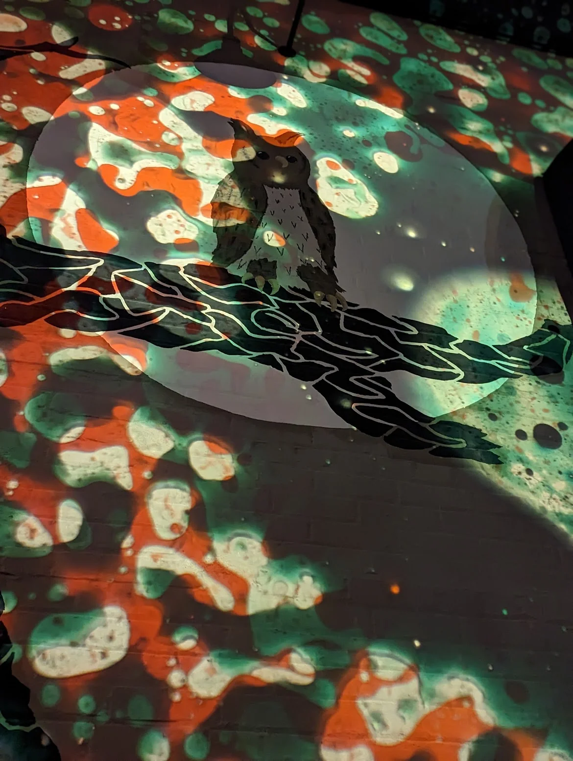 SQUISHPLATE RED GREEN THENIGHTOWL