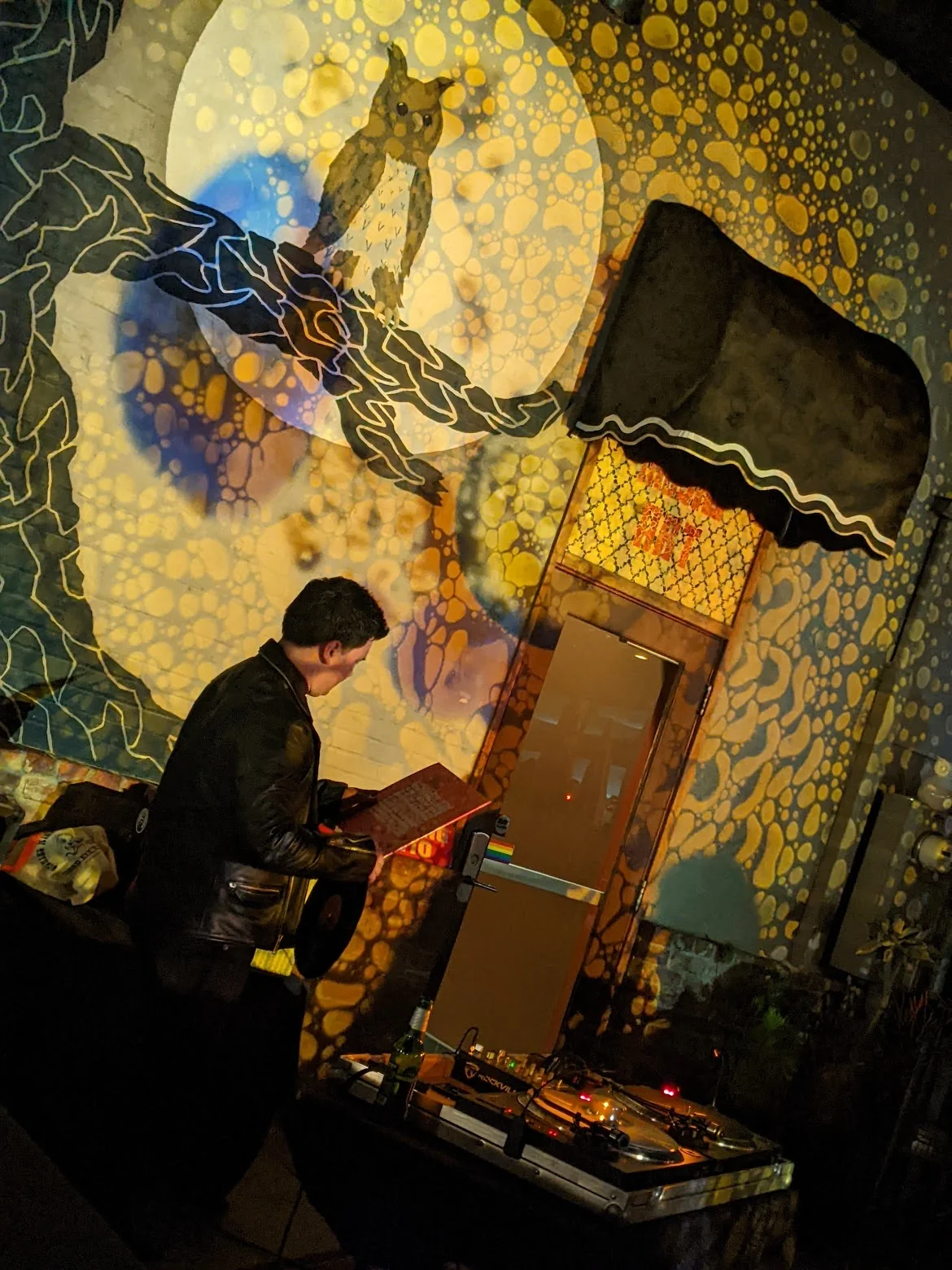 SQUISHPLATE VINYLNIGHT THENIGHTOWL LIQUIDLIGHTSHOW1