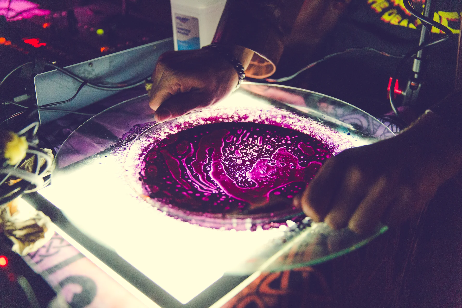 SQUISHPLATE GEAR HYBRIDSHOW MAGENTA