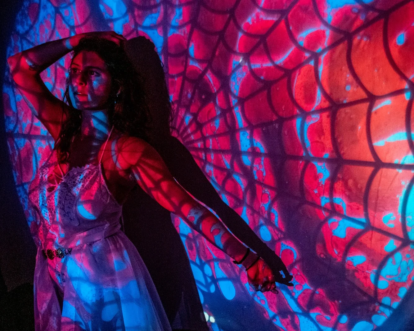 WEB RED BLUE SQUISHPLATE