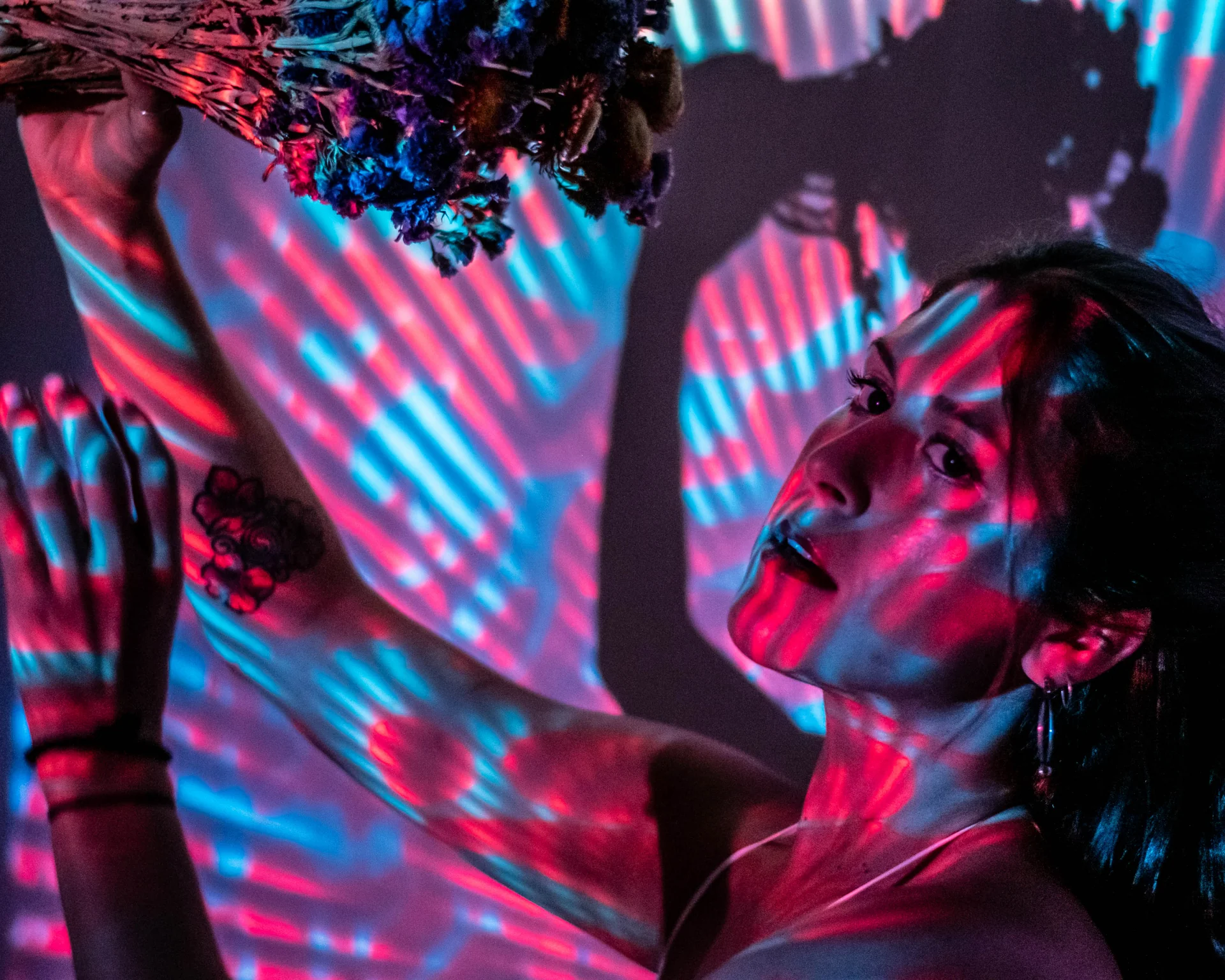 SQUISHPLATE MOIREPATTERN